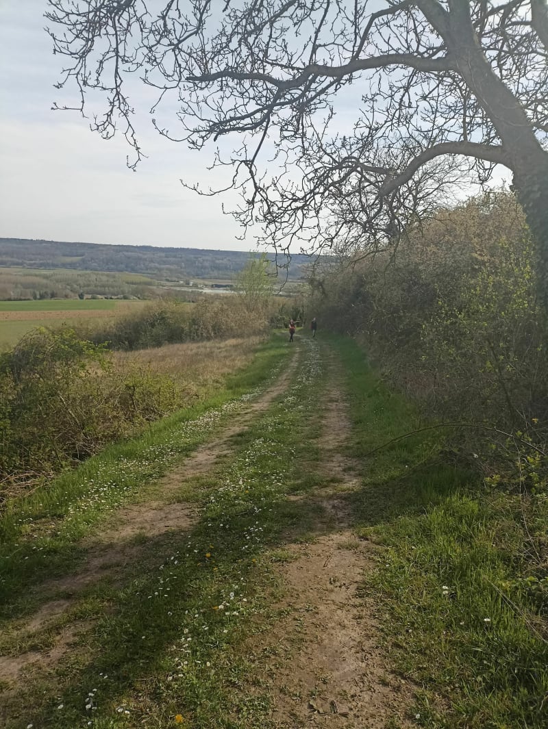 Balade sur Beaurieux - Beaurieux