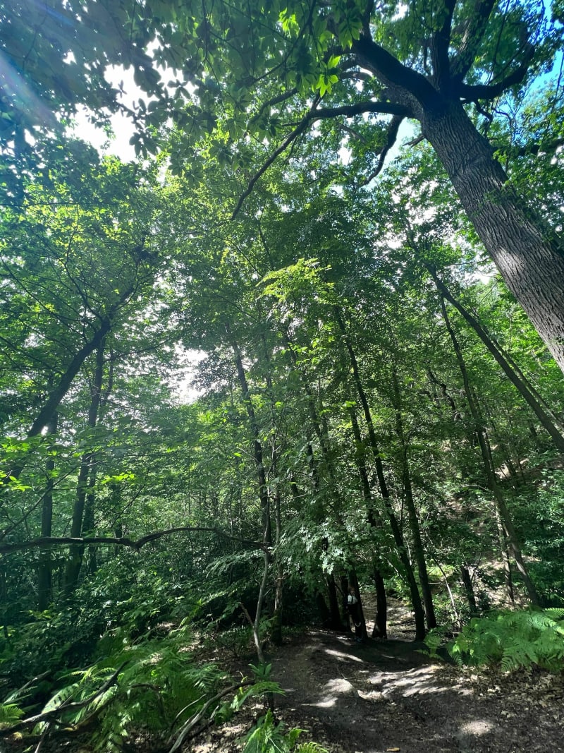 Balade de la Bièvre et du bois de Verrières - Antony