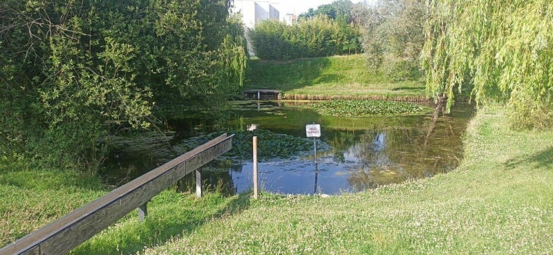 Le tour des plans d'eau d'Elancourt - Élancourt
