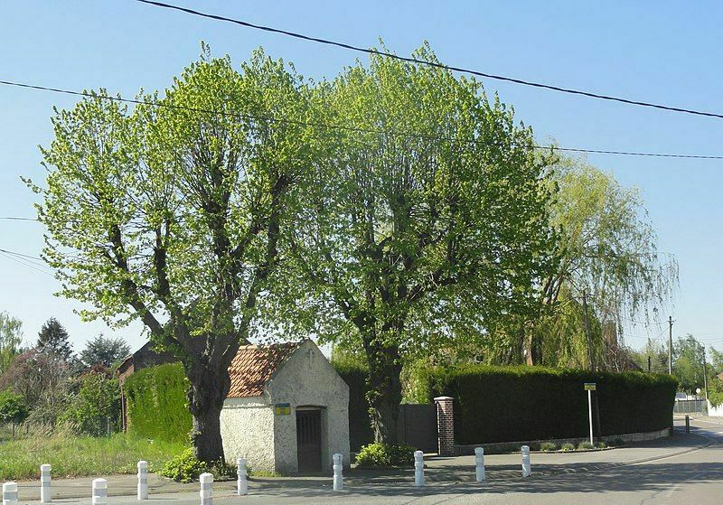 Autour de Raimbeaucourt 10km - Raimbeaucourt