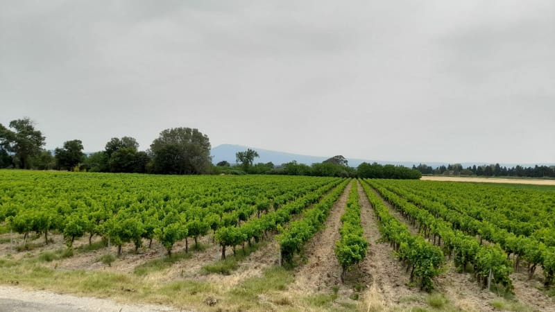 De part et d'autre de l'Ouvèze entre Sorgues et Jonquière - Sorgues