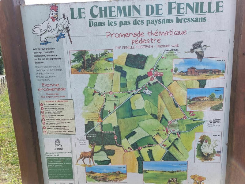 Du chemin de Fenille à Saint-Martin-le-Châtel - Saint-Martin-le-Châtel