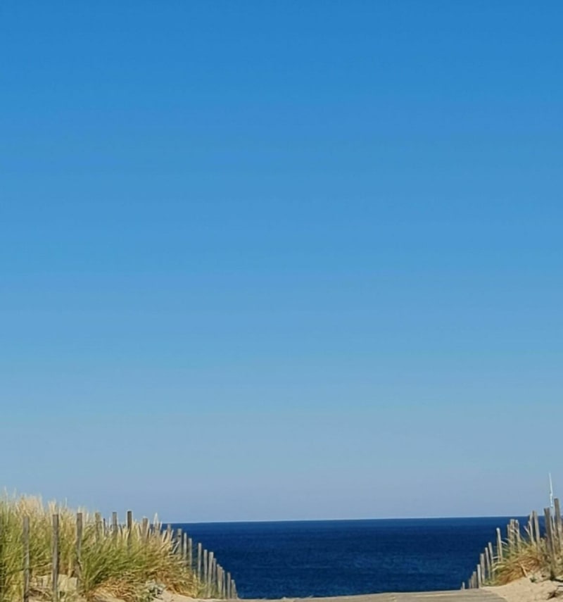 De Lacanau-Océan à la plage du Porge - Lacanau