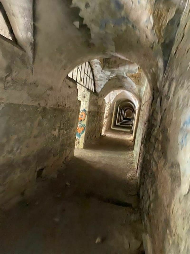 Balade au Mont Saint-Quentin - Plappeville