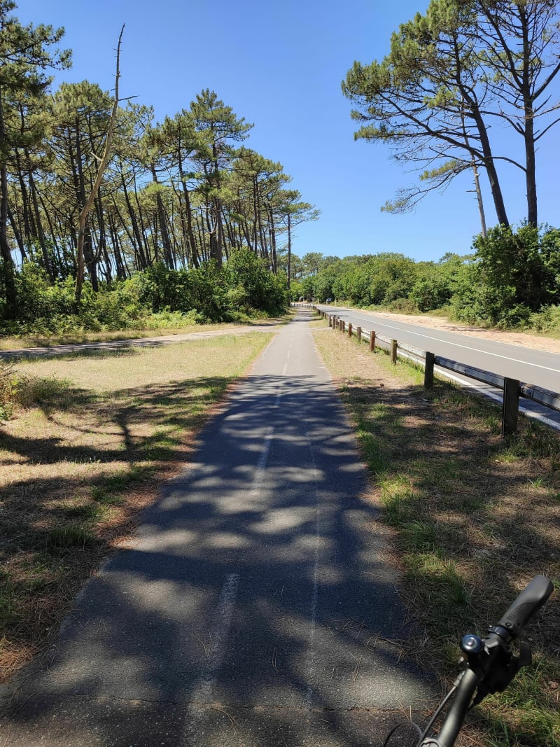 Dune du Pilat depuis la Teste de Buch par la piste cyclable - La Teste-de-Buch