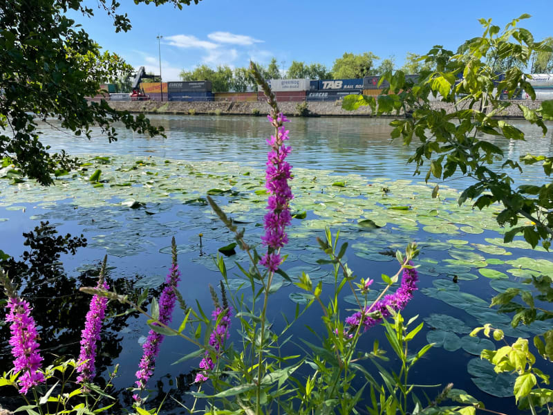 Boucle sud de la Marne - Paris