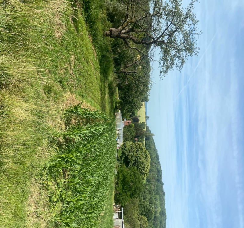Marche à Tracy - Tracy-le-Val