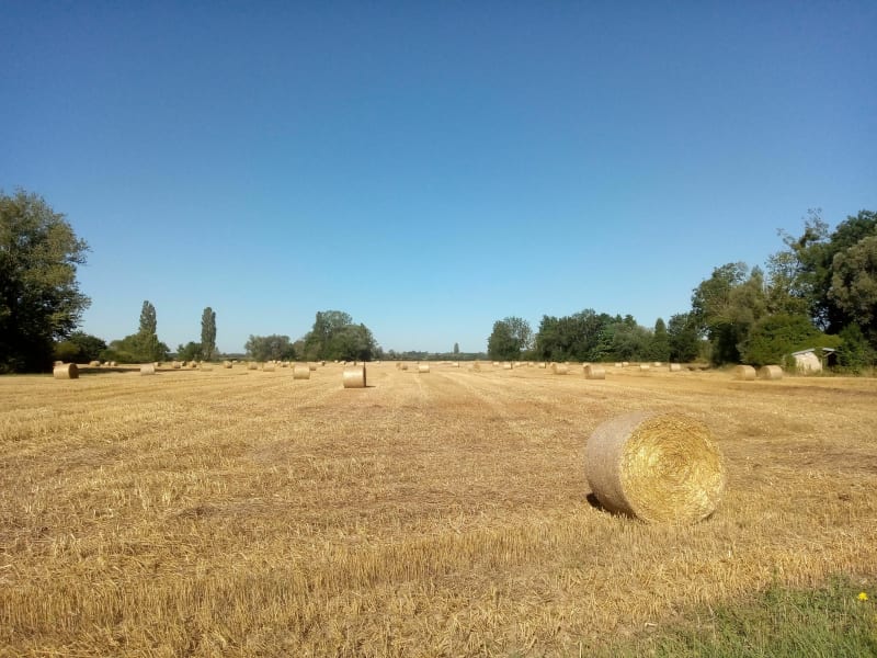 Balade en plaine du Tartre - Le Tartre