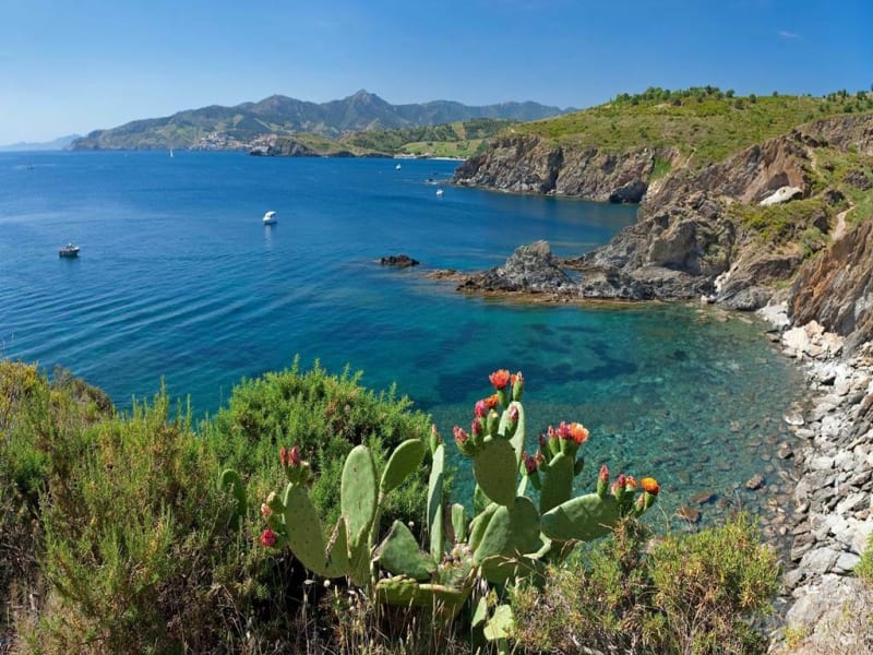 Le sentier du Littoral - Banyuls-sur-Mer