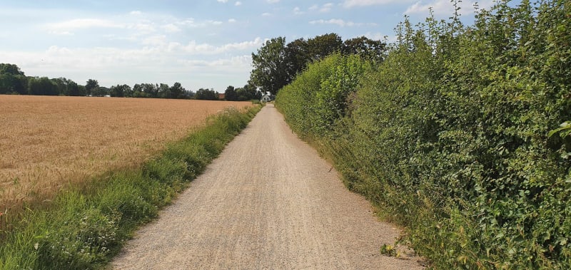 Entre hem et les 6 bonniers - Hem