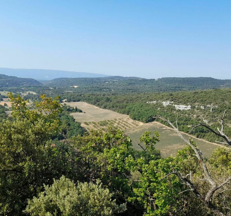 Col de Murs et Col des Trois thermes paysages très variés - Sorgues