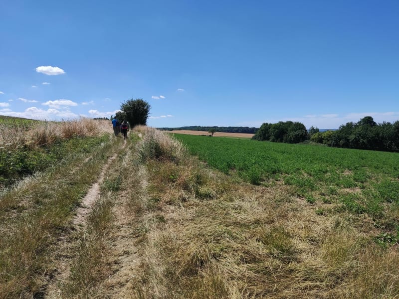 Balade à Pelves - Pelves