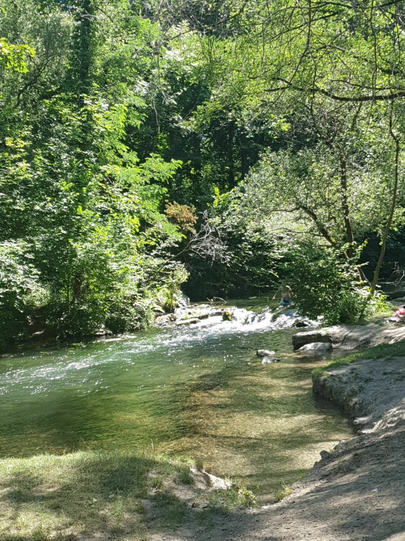 Une belle balade en forêt de la Roberstau - Strasbourg