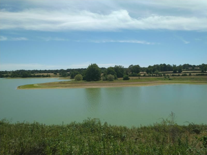 Tour du lac de Ribou et du Verton - Cholet