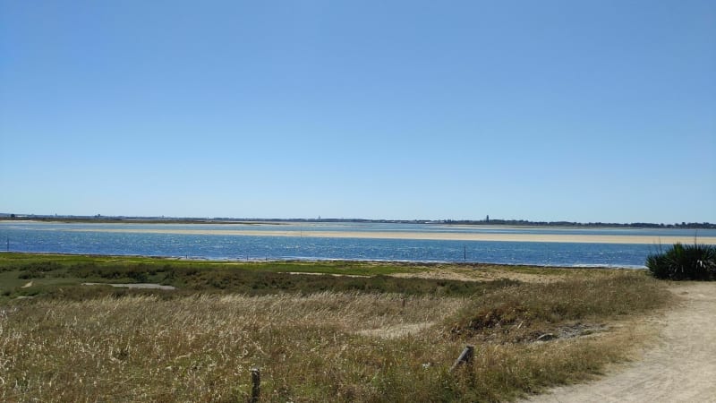 Pointe de Pen Bron - La Turballe