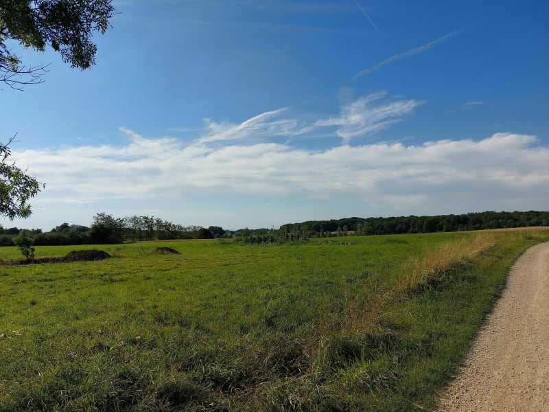 Balade dans les bois d'Etrez/Foissiat - Bresse Vallons