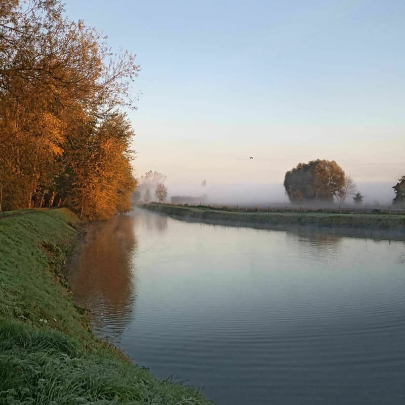 Balade à Saint-Omer - Blendecques