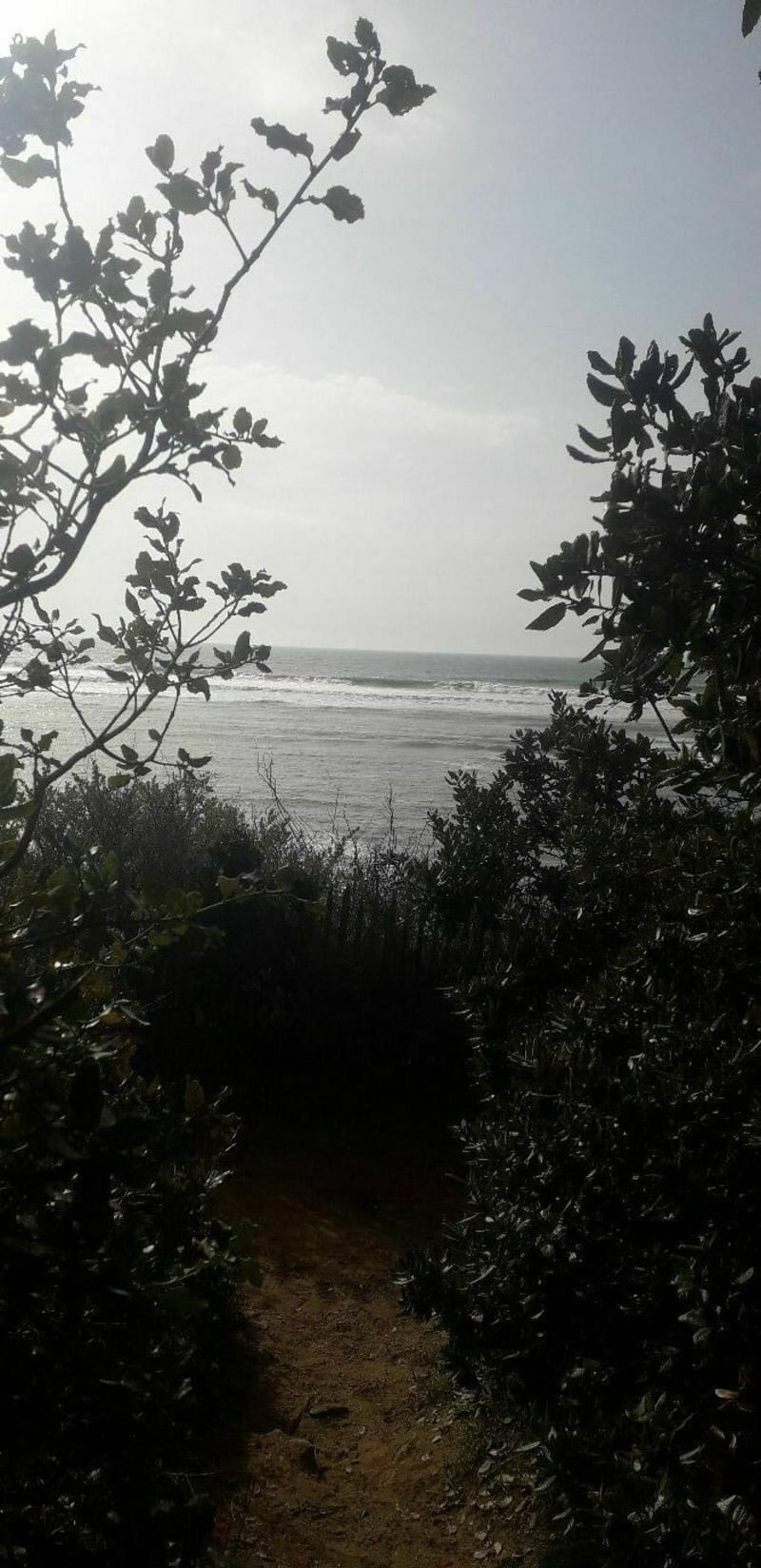 Marais, parc à huîtres, plage du Veillon... - Port Bourgenay