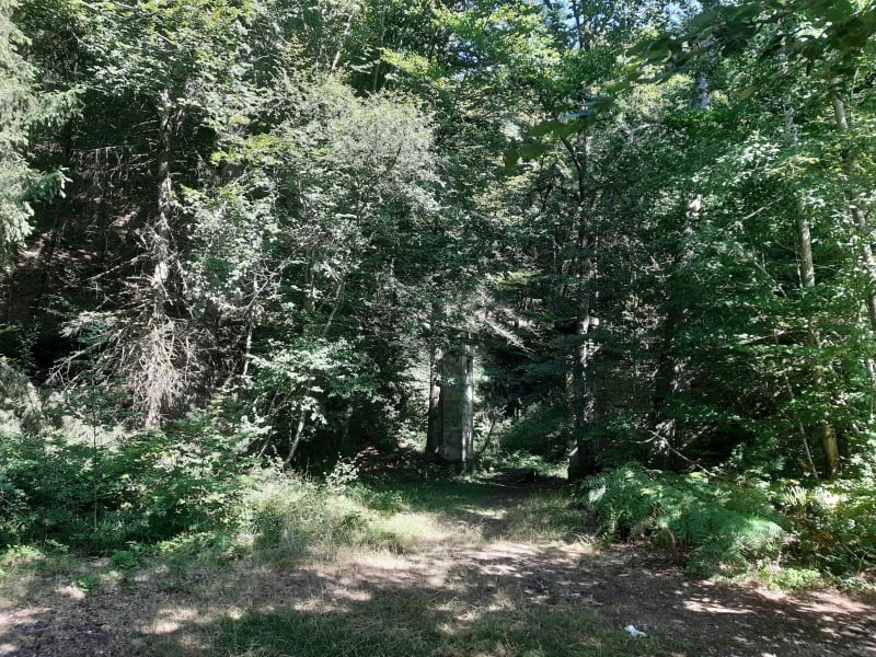 Roches d"Olima, étang de la Comtesse et lac de Bouzey - Golbey