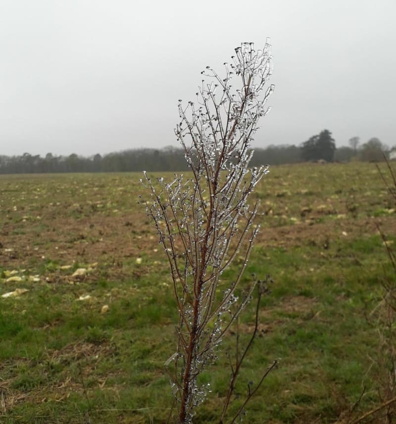 Randonnée champêtre et bords d'Indre - Veigné