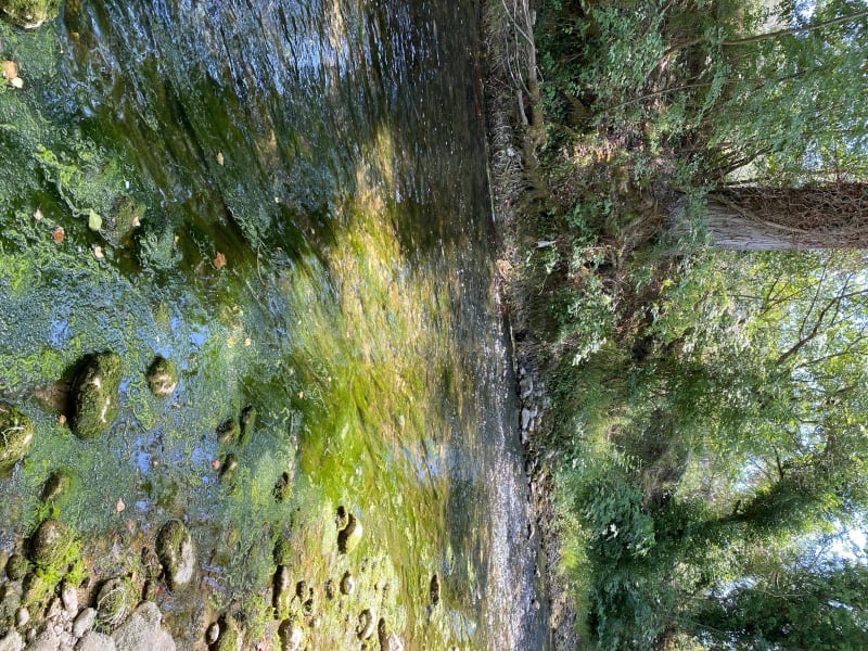 Les Rives du Loup - La Colle-sur-Loup