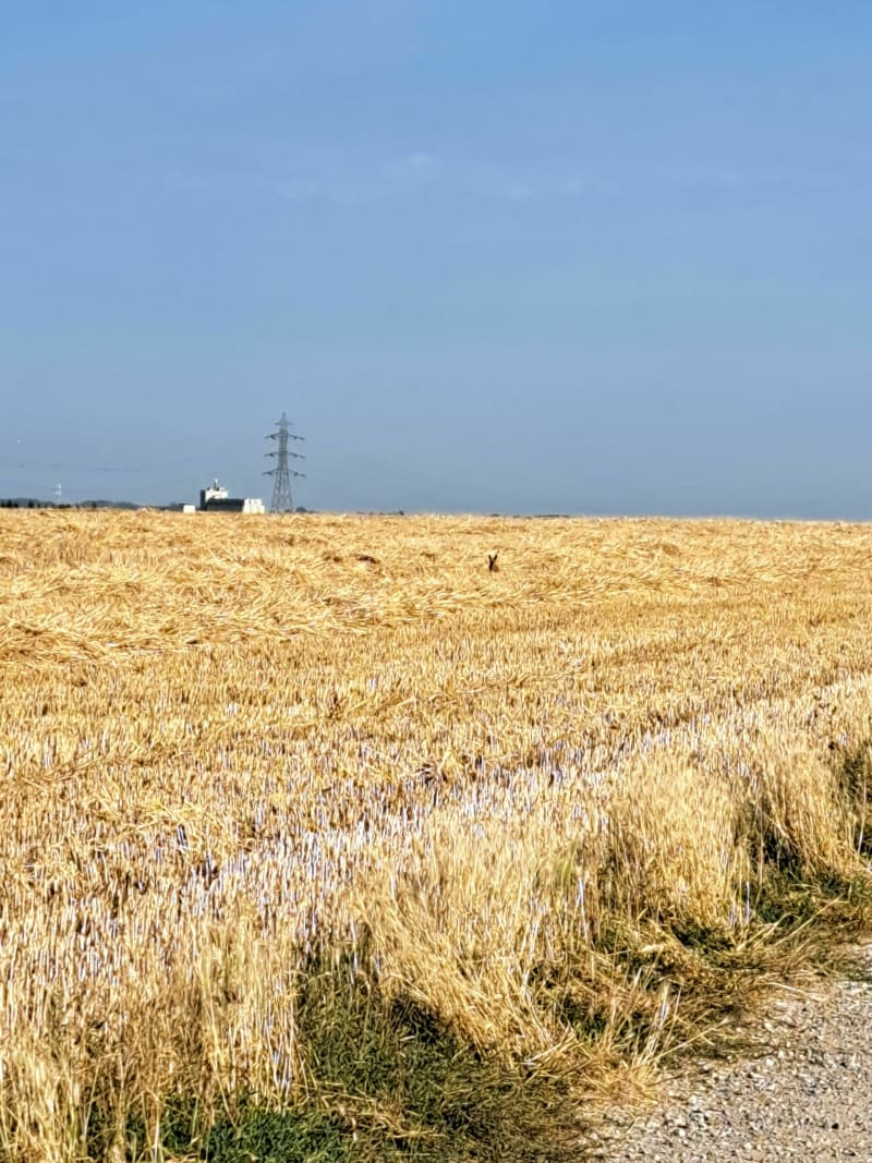 Balade Isberguoise - Isbergues