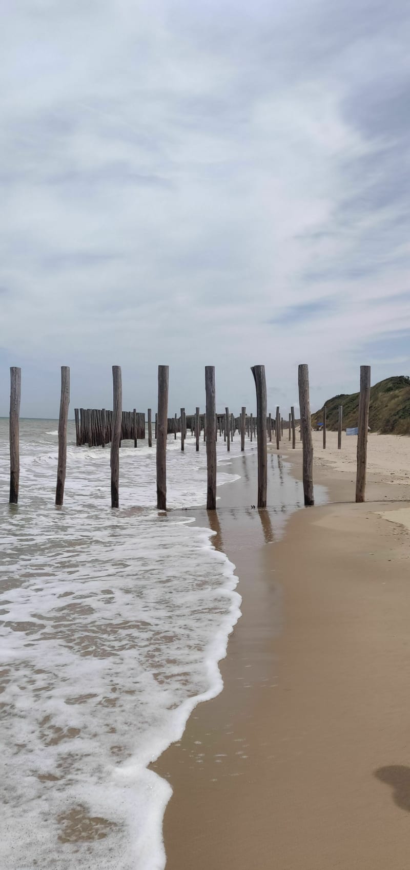 Superbe randonnée au Platier D'Oye - Gravelines