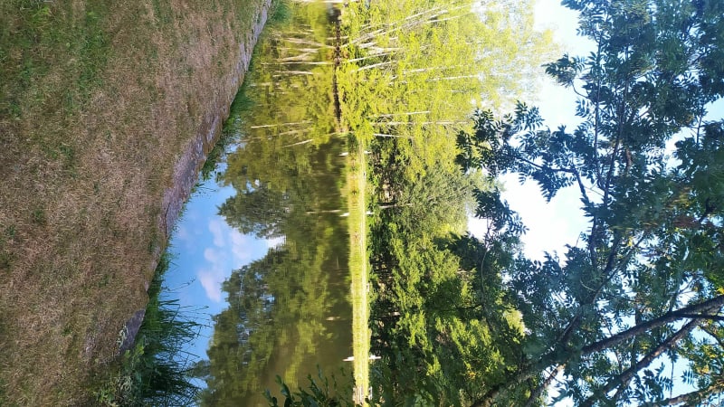Balade étang de Wisches - Wisches