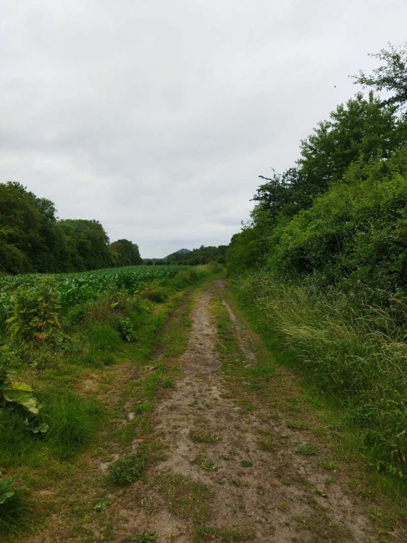 Randonnée 19/06 Haillicourt - Haillicourt