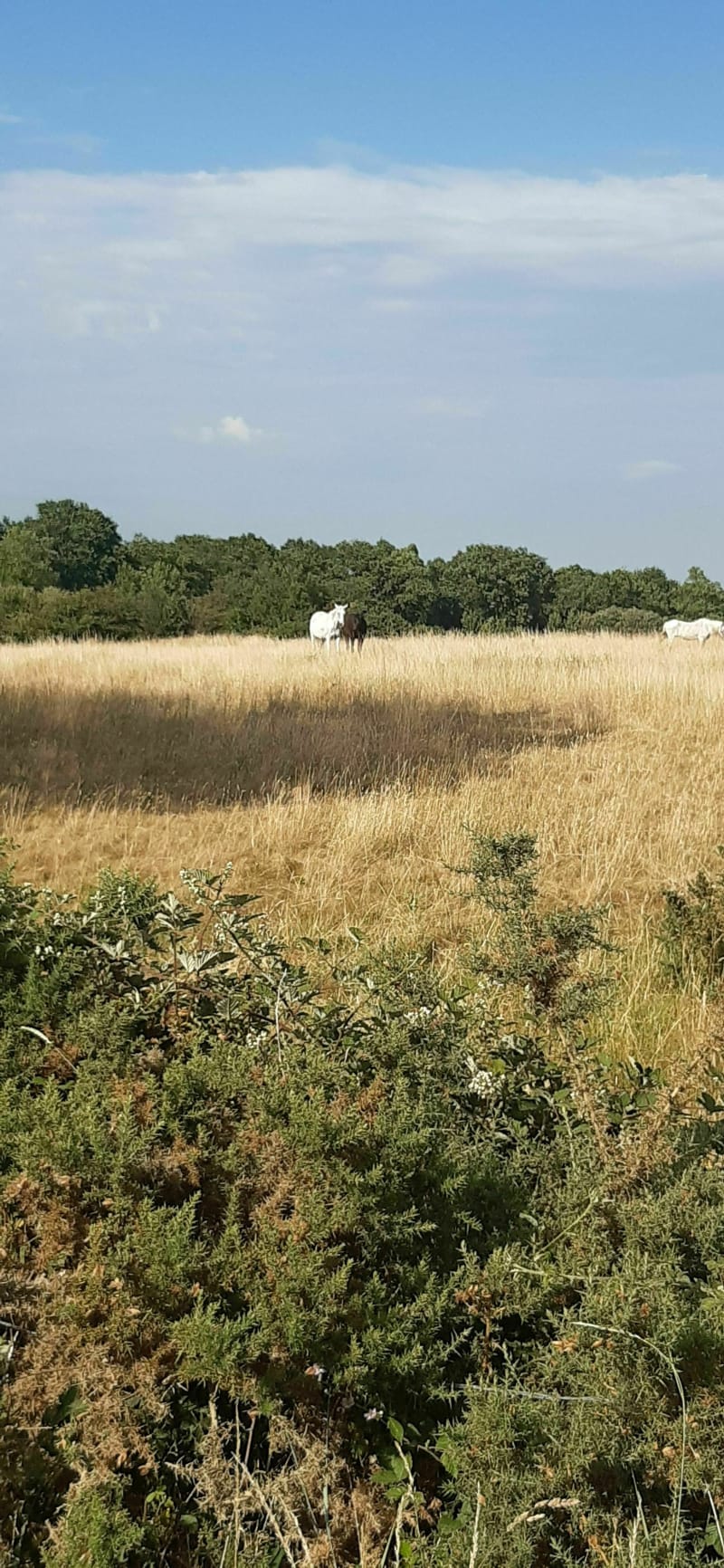 Vélo à Donges - Donges