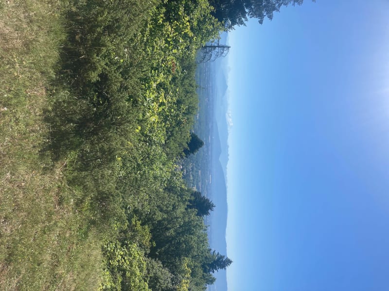 Sentier découverte au Crozet - Crozet