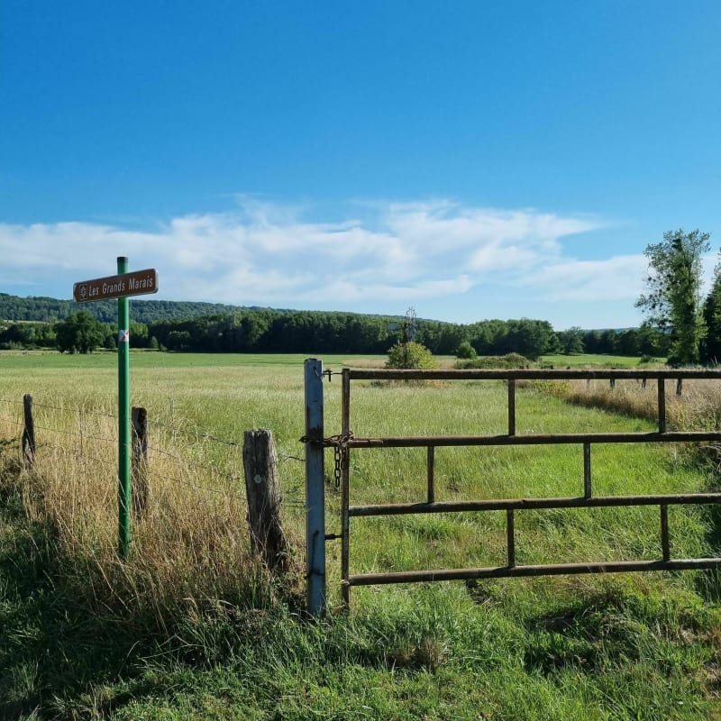 Chemin des Marais - Chézeaux