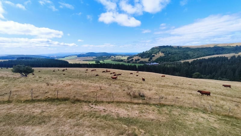 Balade vers Vassivière - Besse-et-Saint-Anastaise