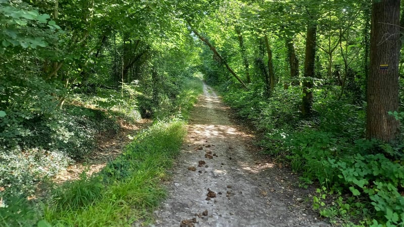 Autour de Couilly-Pont-aux-Dames - Couilly-Pont-aux-Dames