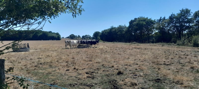 Circuit des Landes - Frossay