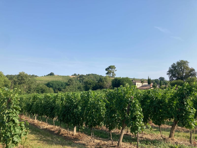 Balade sur les hauts de Cadillac - Cadillac-sur-Garonne