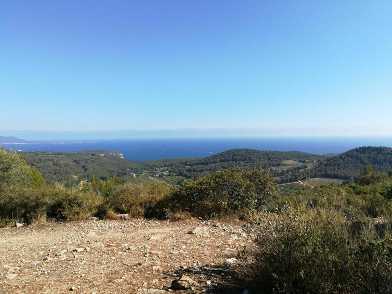 Balade au calme de la vigne à la dune - Saint-Cyr-sur-Mer