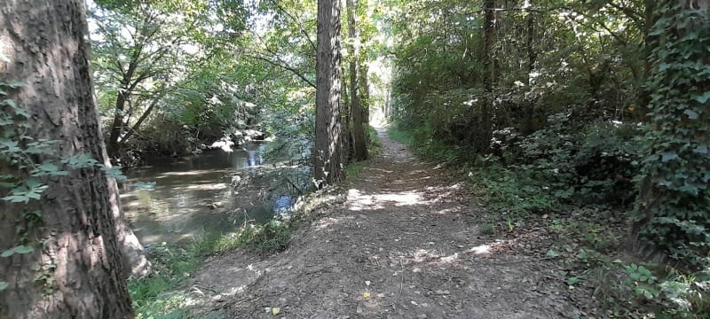 Petite promenade le long du Cernon - Saint-Georges-de-Luzençon