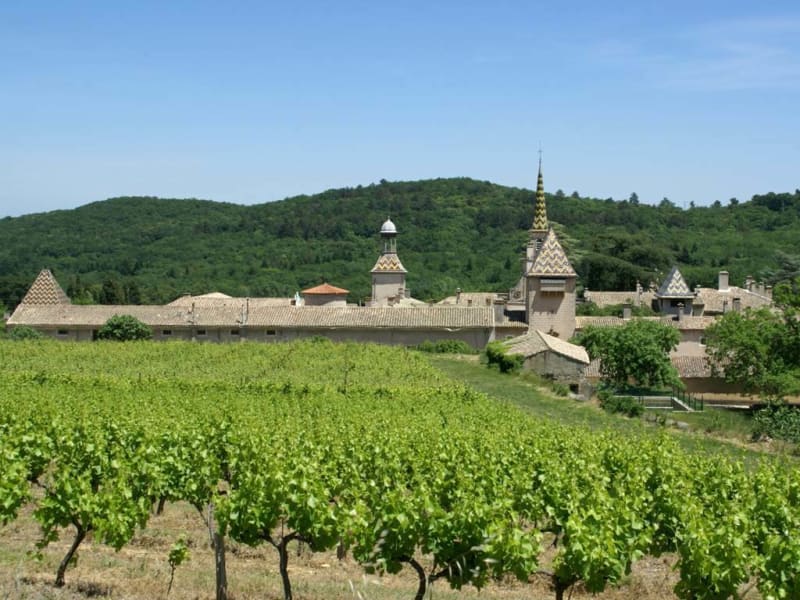 La Chartreuse de Valbonne - Saint-Paulet-de-Caisson