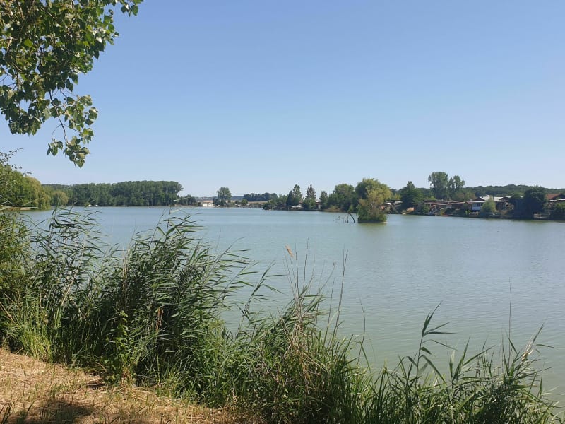 Balade autour de l'étang - Grostenquin