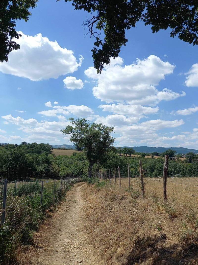 Boucle autour de Craponne, l'Yzeron et le Fort du Bruissin - Craponne