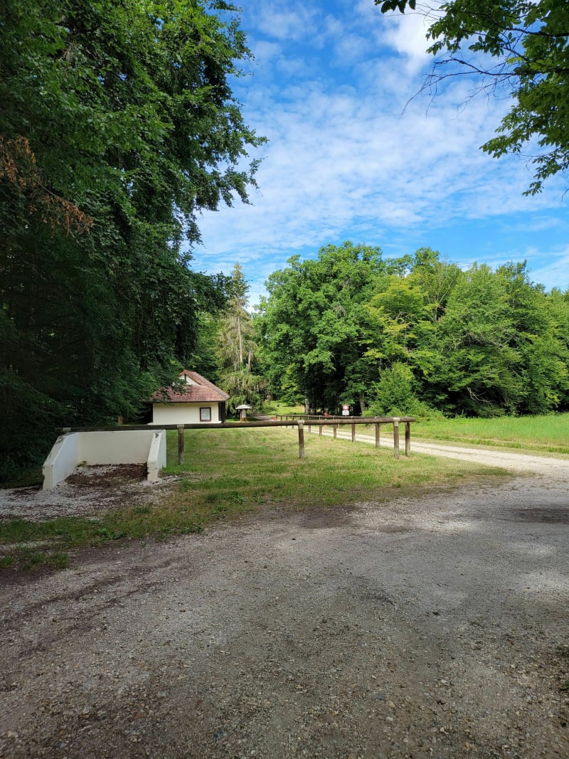 Variante sur le circuit de l'écureuil - Saint-Mards-en-Othe