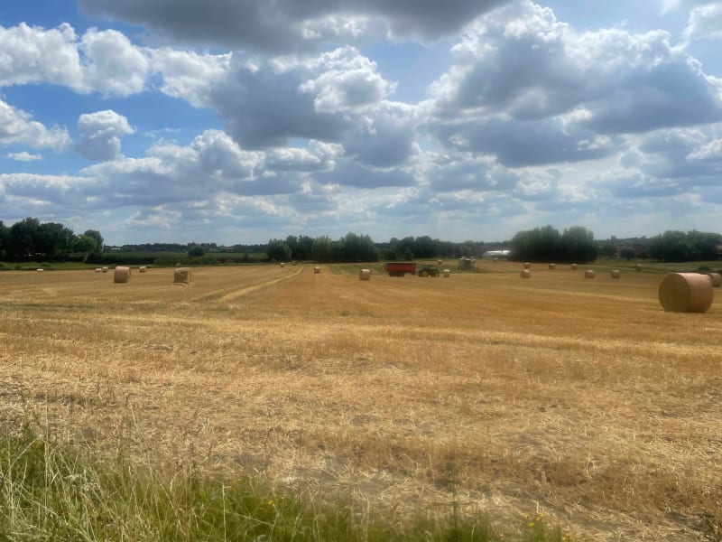 Sentier des jacinthes - Sain Jans de Cappel