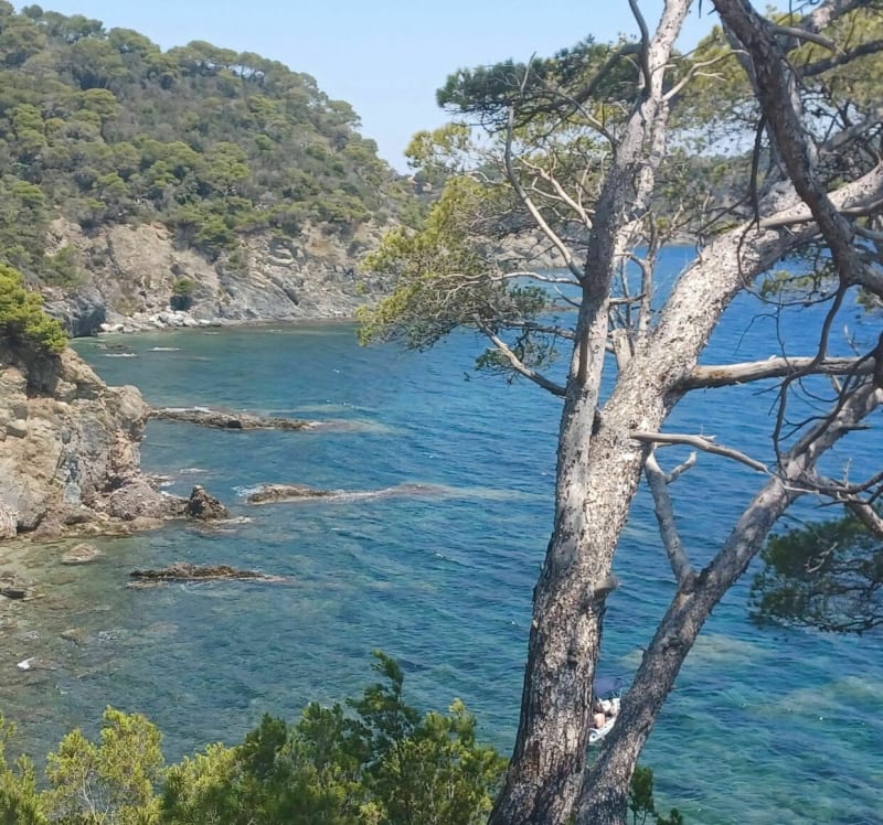 Sentier du littoral presqu'île de Giens - Hyères