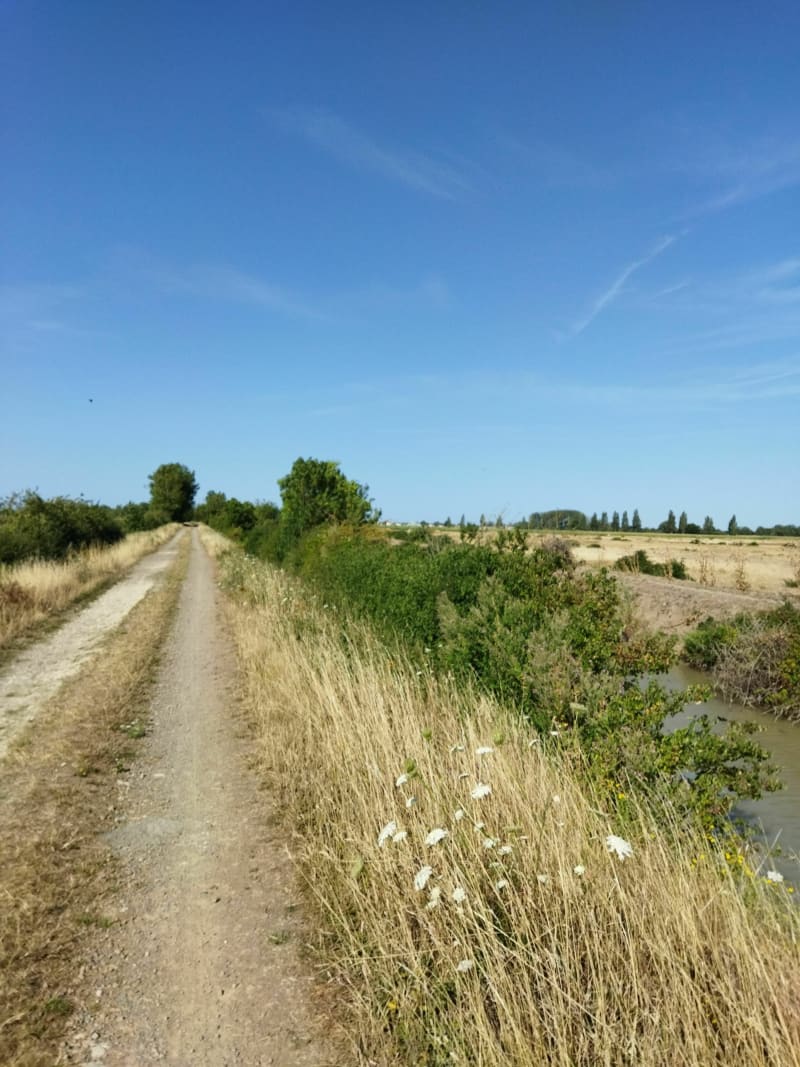 Une Tranche de Bernard - La Tranche-sur-Mer