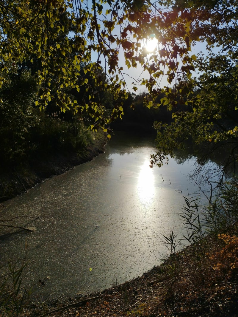 Balade matinale au lac du Castellet - Le Castellet