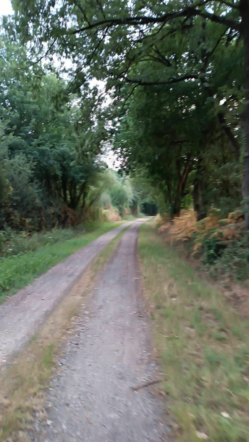 Marche matinale dans la campagne de Baracé - Huillé-Lézigné