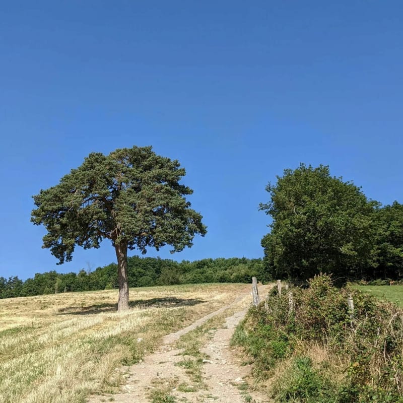 Au dessus d'Yzeron et lac du Ronzey - Yzeron
