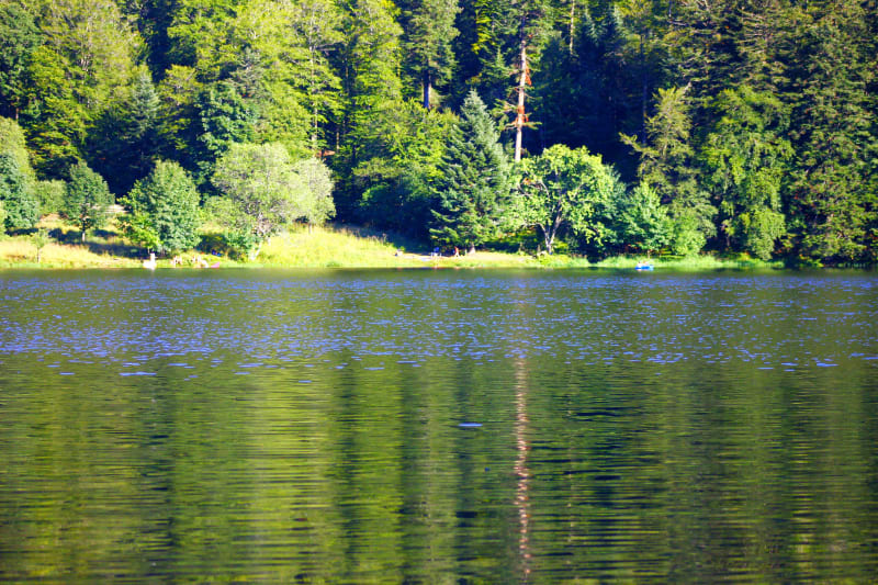 Sentier de découverte du Lac de Blanchemer - Le Régit