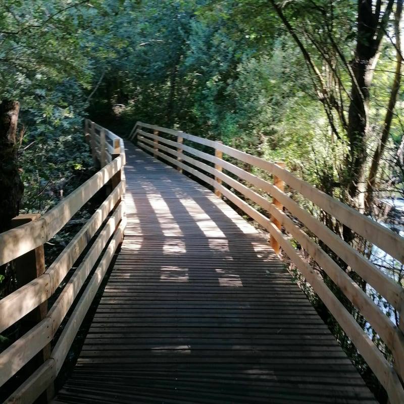 Parc Cabiddu Wingles - Wingles